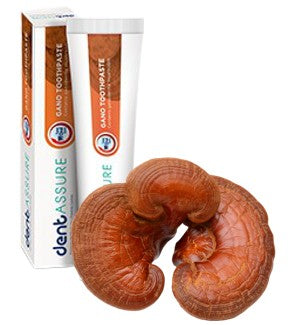 Dentifrice au Ganoderma