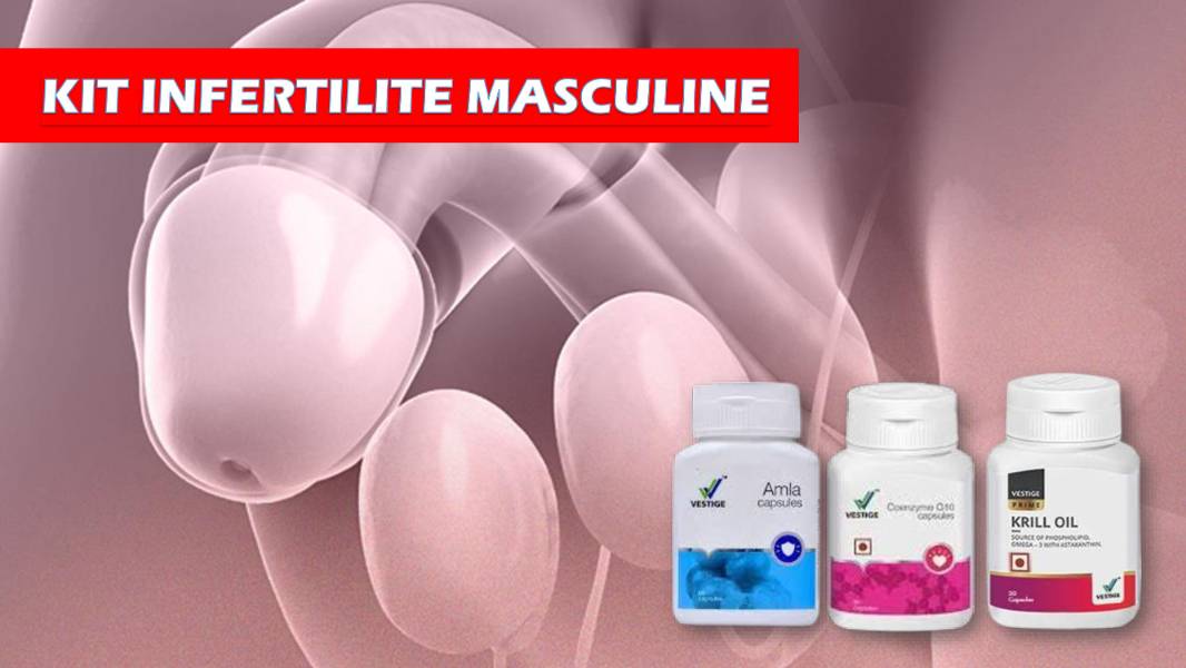 Kit infertilité masculine